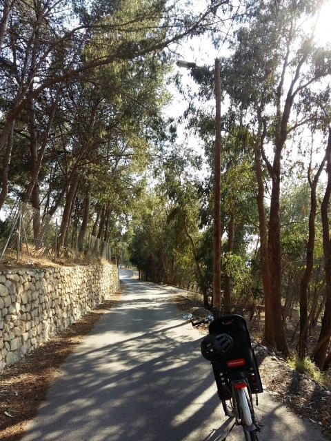 Ruta del Vino de Alicante en Bici