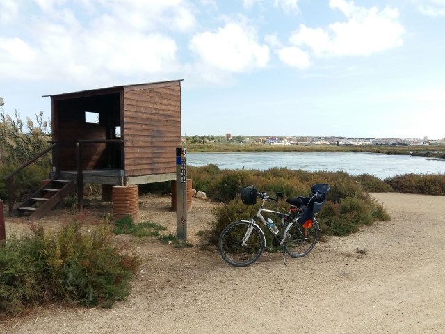 Ruta en bici Elche - Santa Pola
