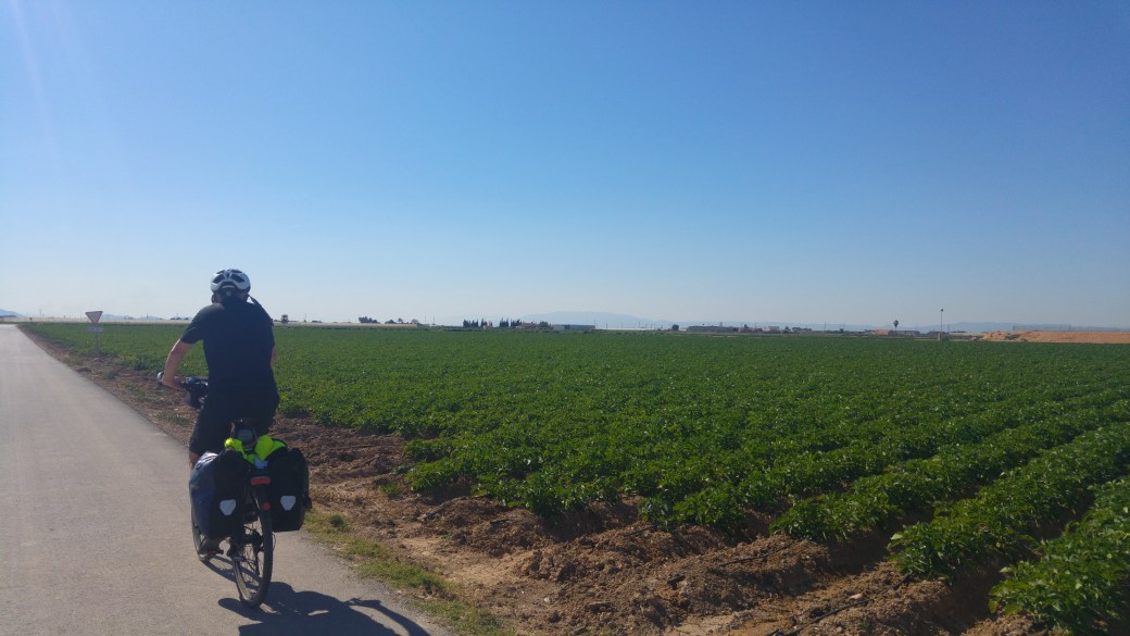 campo de cartagena2.jpg