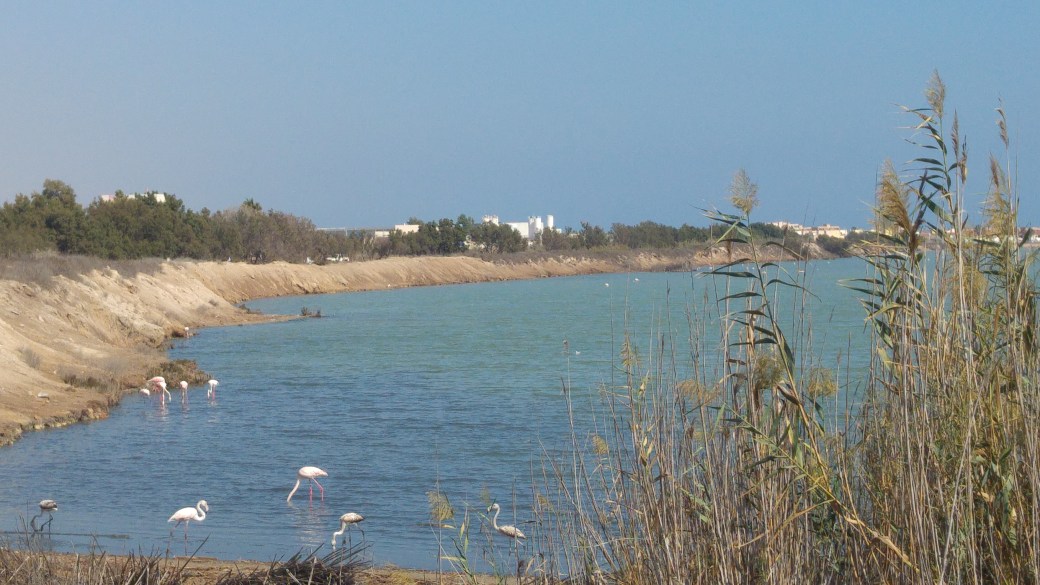 Parque S Pedro Pinatar.jpg