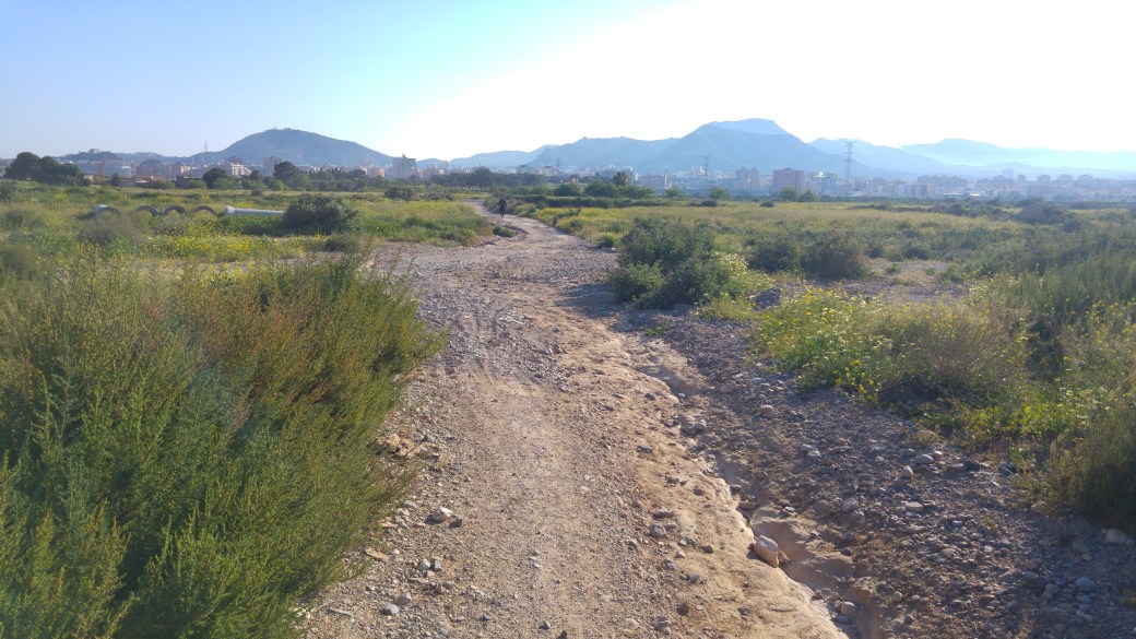 Pista tramo cercano a Cartagena.jpg