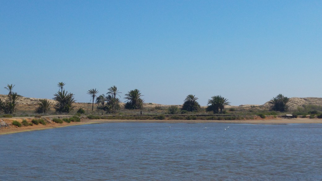 Foto 4 saladares.jpg