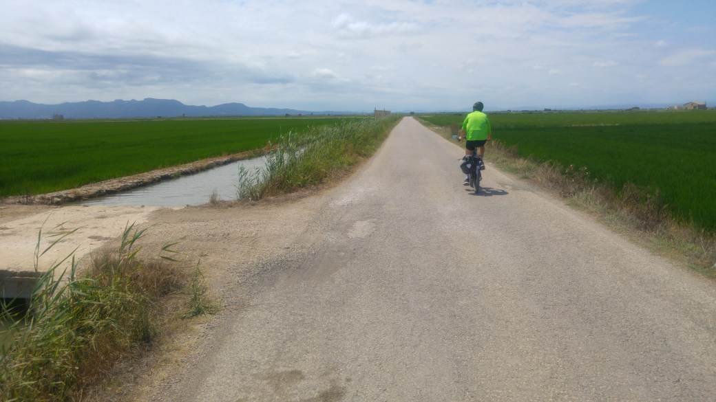 Foto 4 campos de arrozales.jpg