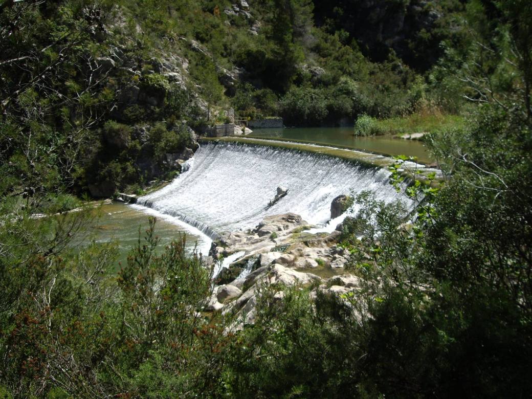 12471879_937495079673983_208857662160392377_o