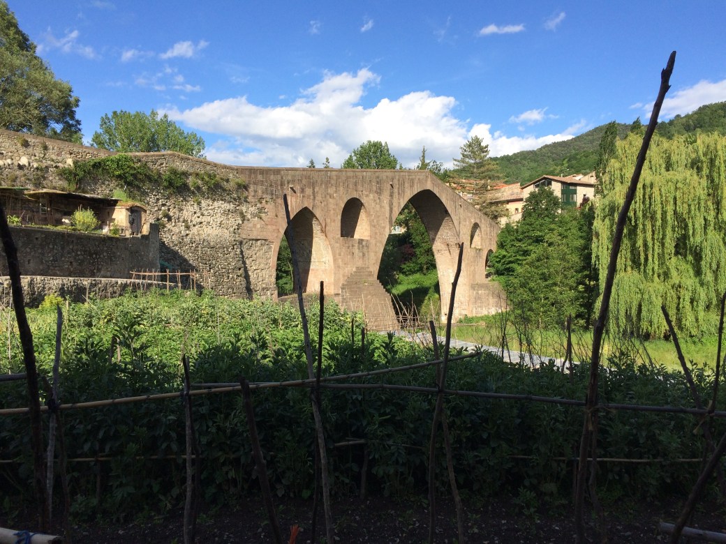 san joan 2 de abadesses