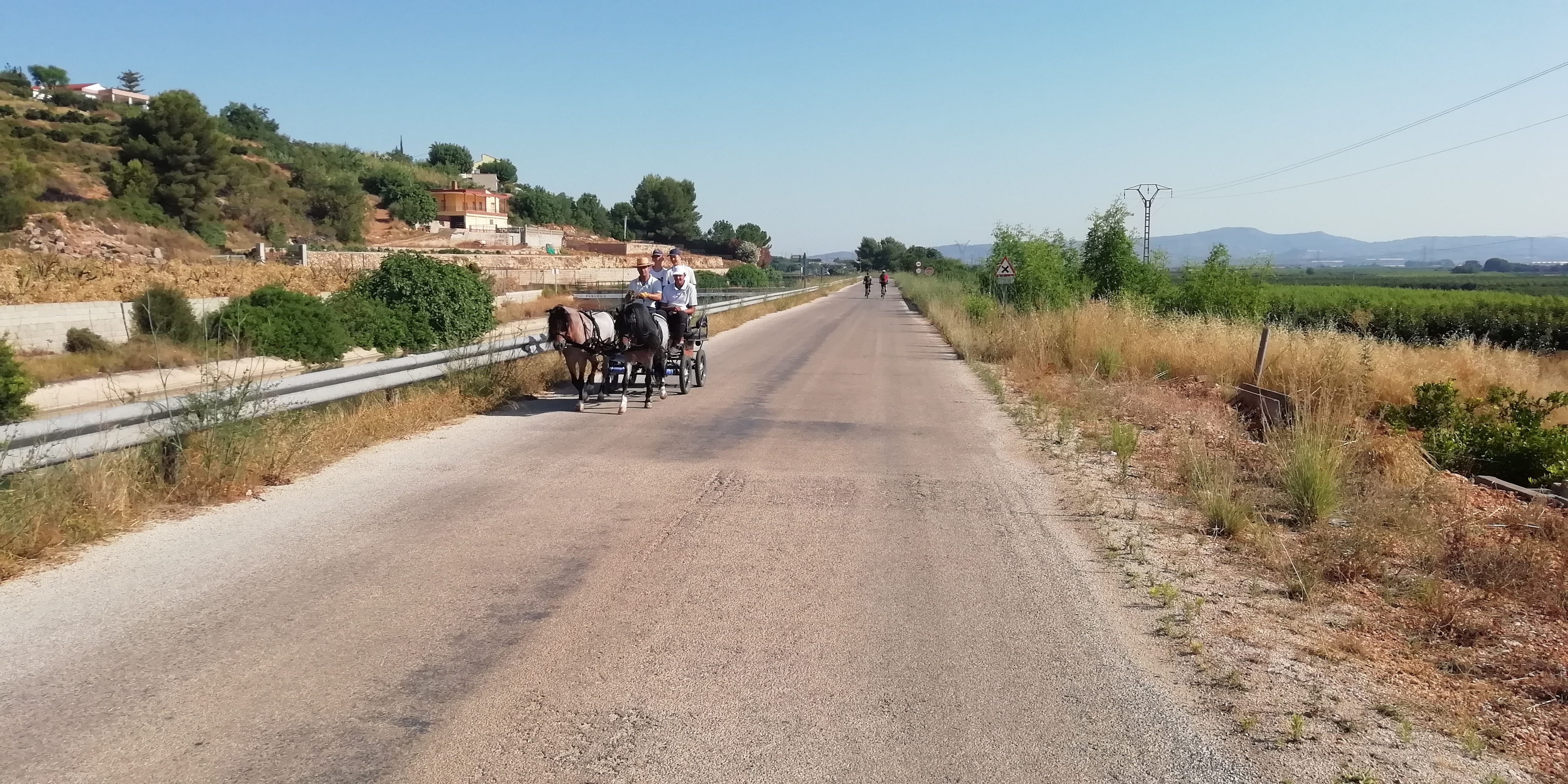 IMG_20190711_095409_1