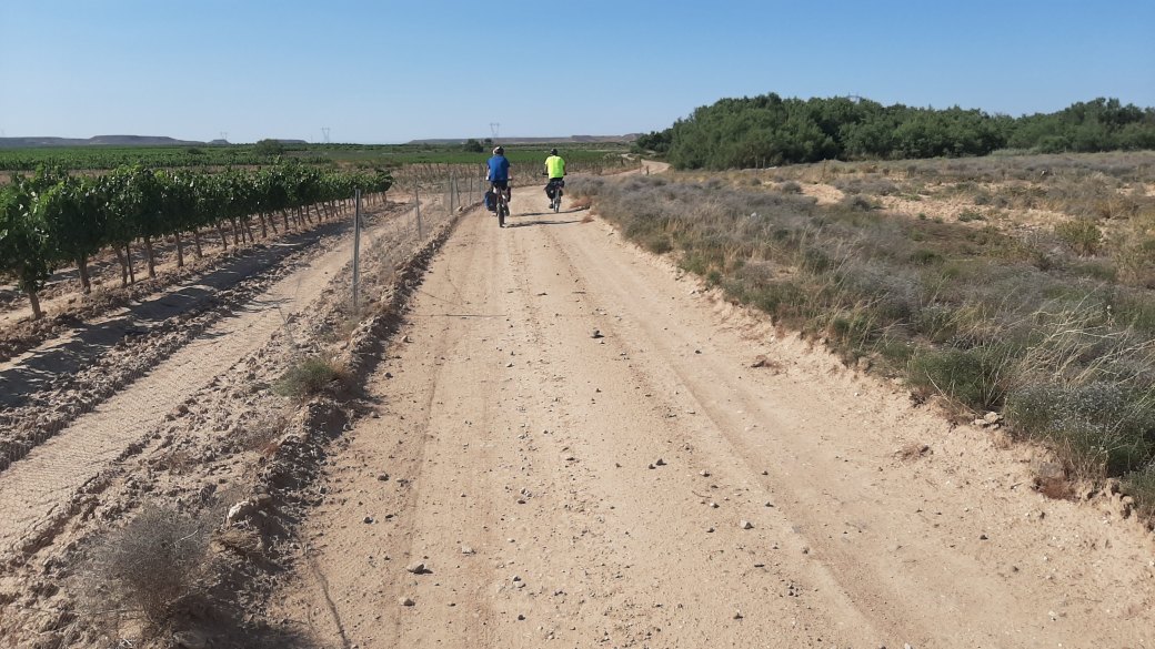 Foto 8 pista de tierra Soria