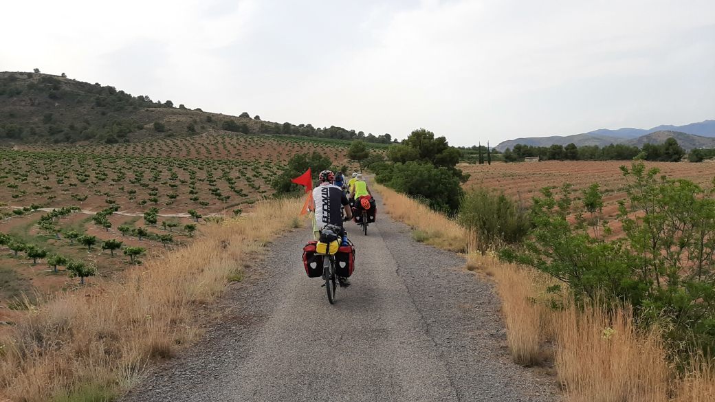 Foto 9 vida verde Ojos Negros