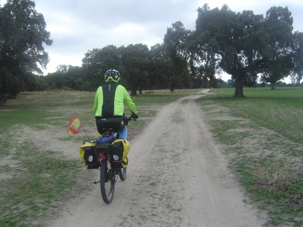 Dehesa del Sapo. Oropesa