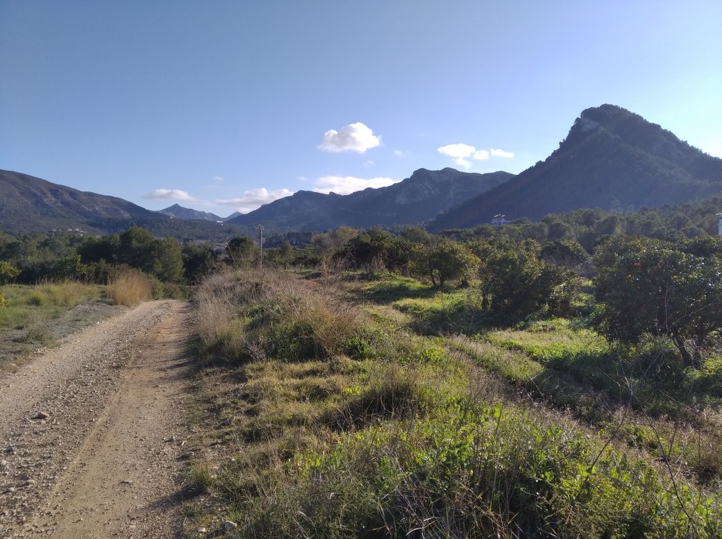 IMG_20200111_112625_1