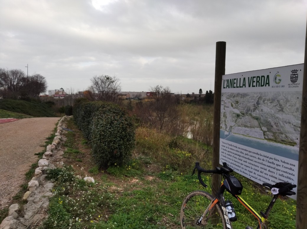 Anell Verd Gandía 16