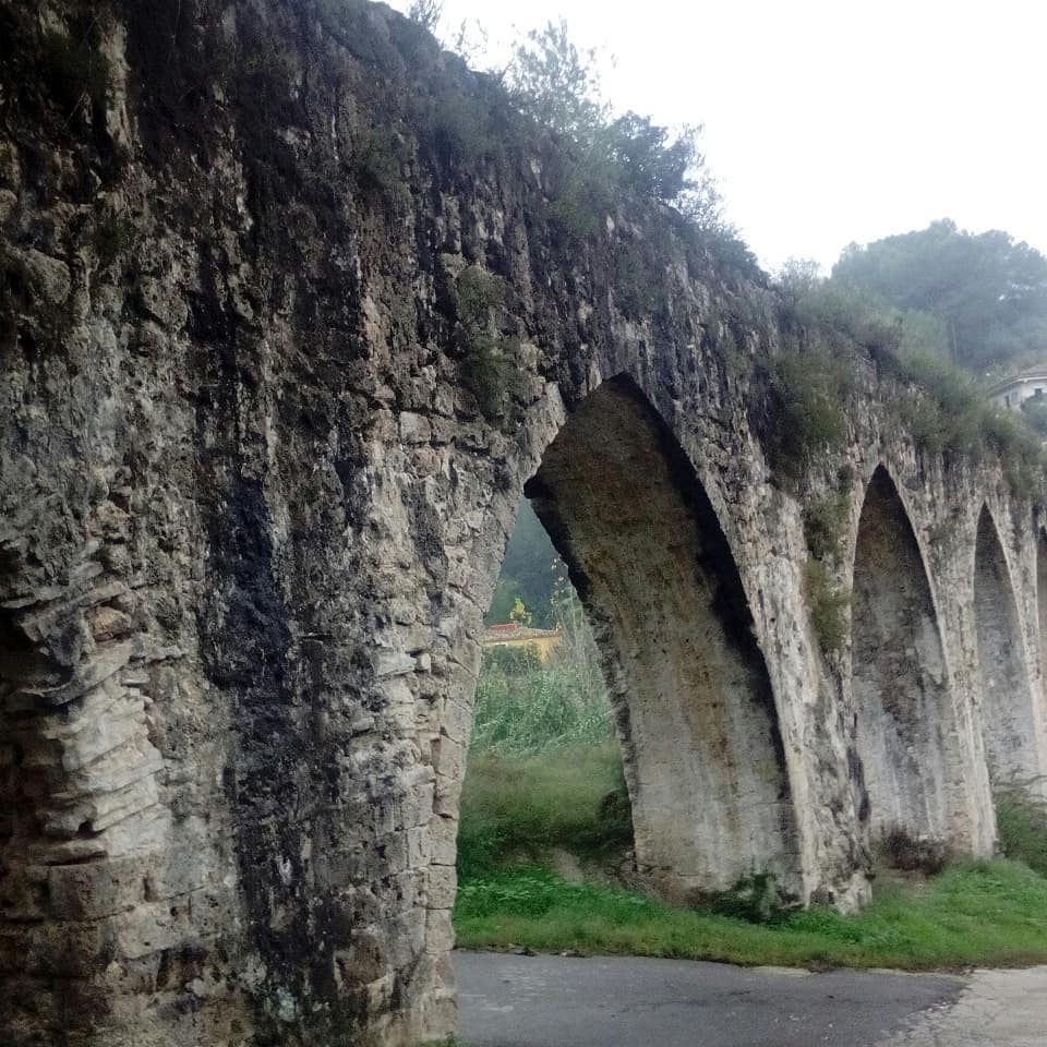 Arcadetes d'Alboi (Xàtiva) 3