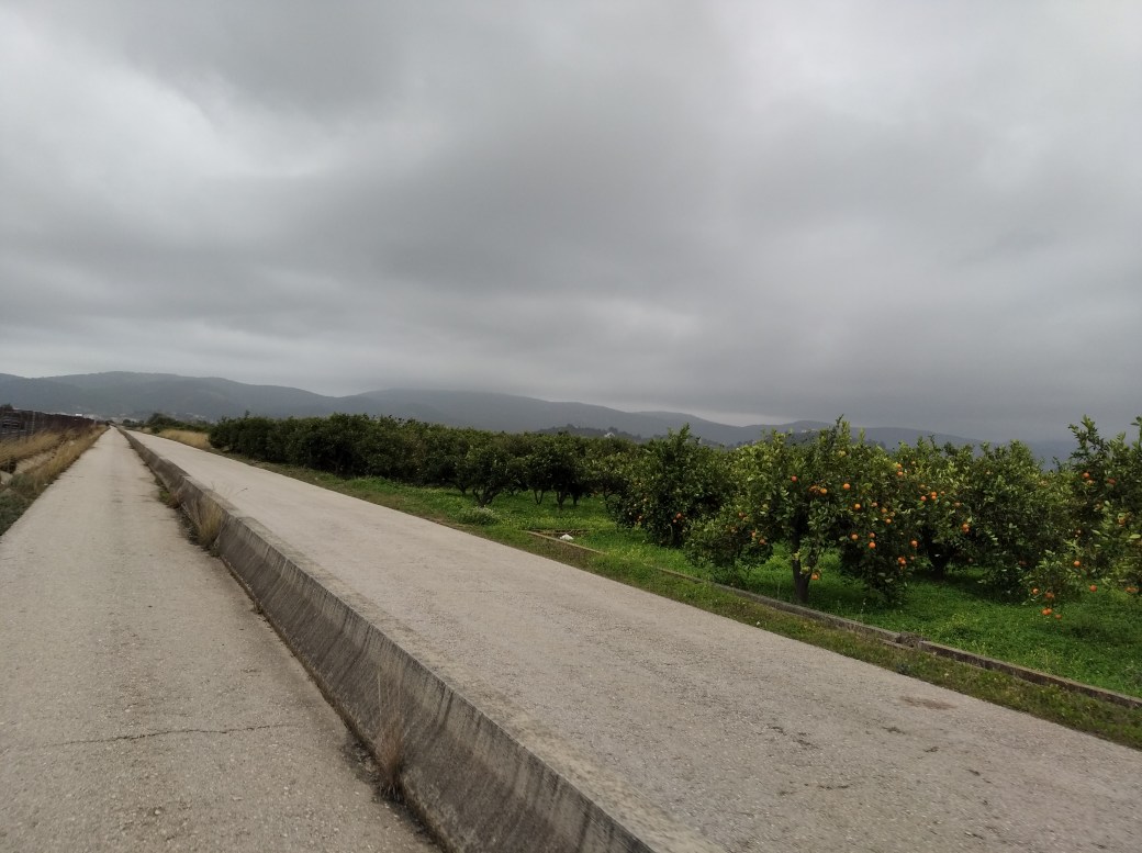 Carril Bici hacia Beniarjó 14