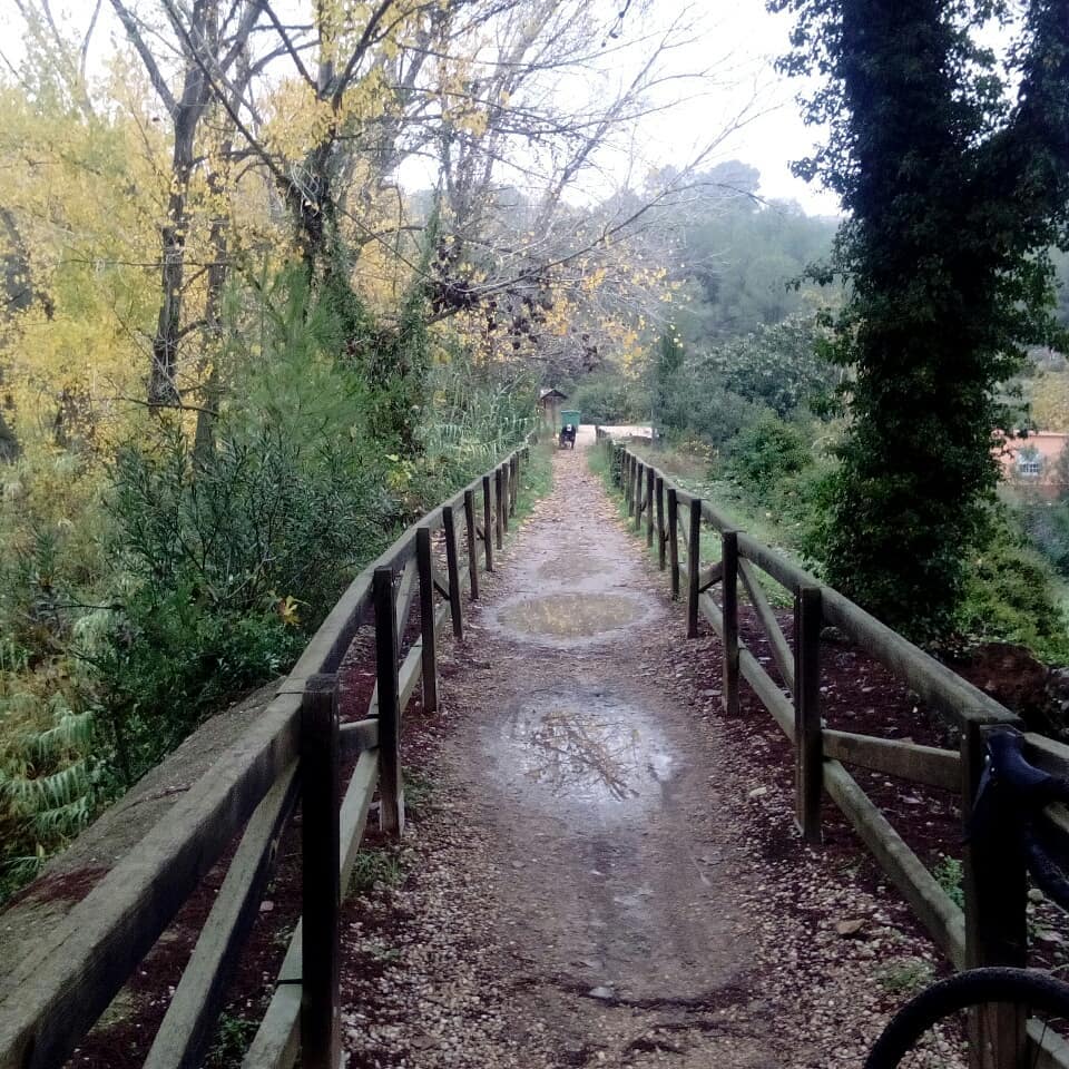 Paraje la Cova Negra 5