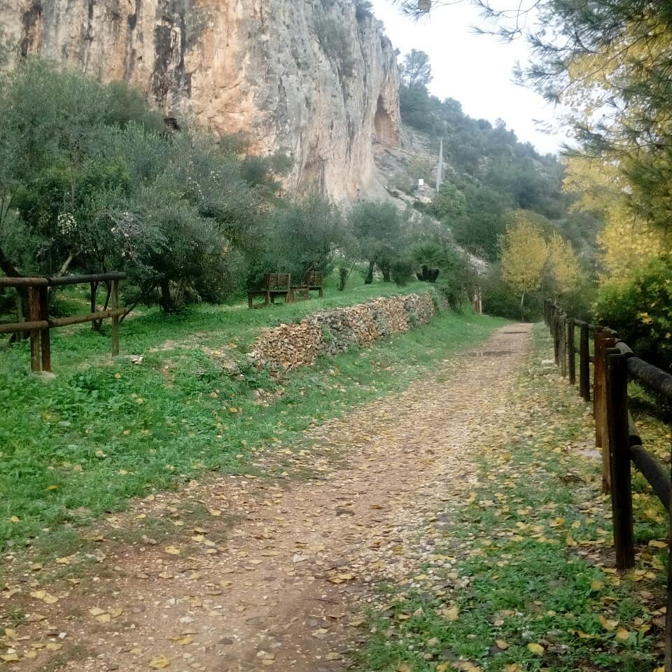 Paraje la Cova Negra (7)