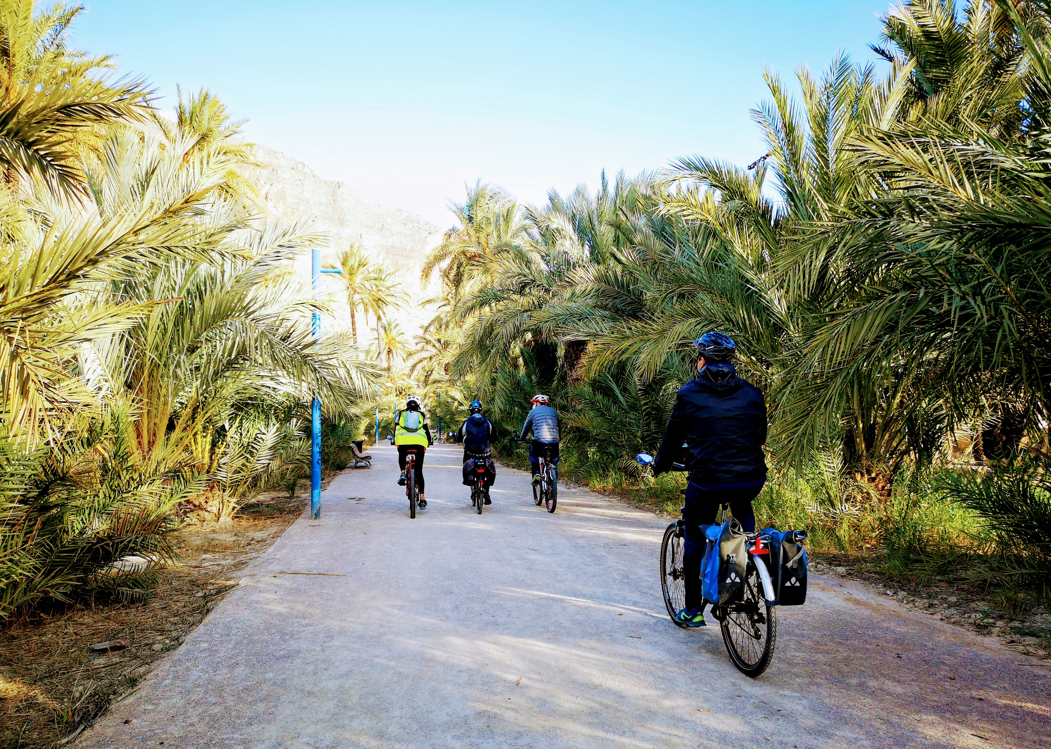 original_054db355-fc90-469c-b3ed-9f63d9f7db51_IMG_20201228_101320