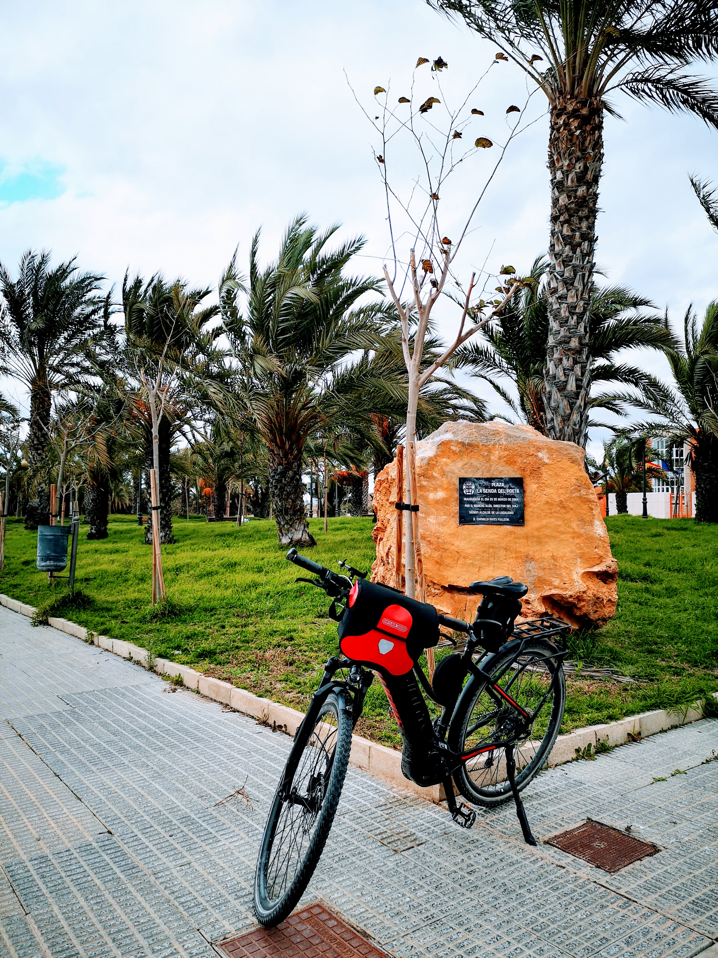 original_1dd5ecbe-b867-4b3b-b9f0-73a260bc40fa_IMG_20201228_114925