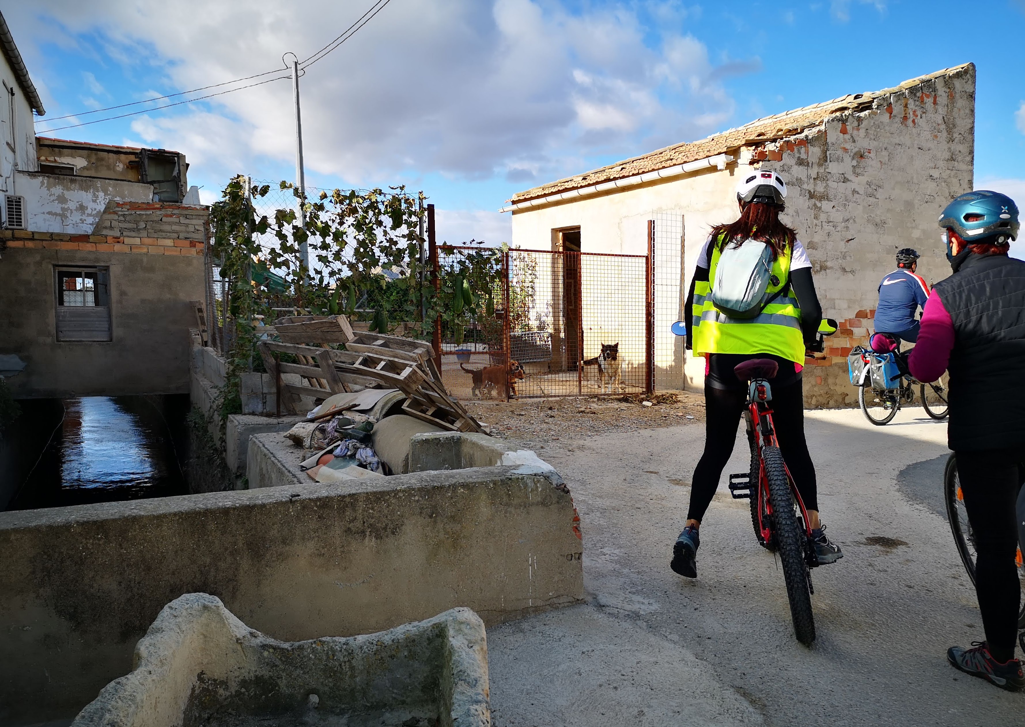 original_921e2425-eb2f-46fe-ae8b-736a515f5d97_IMG_20201228_104429