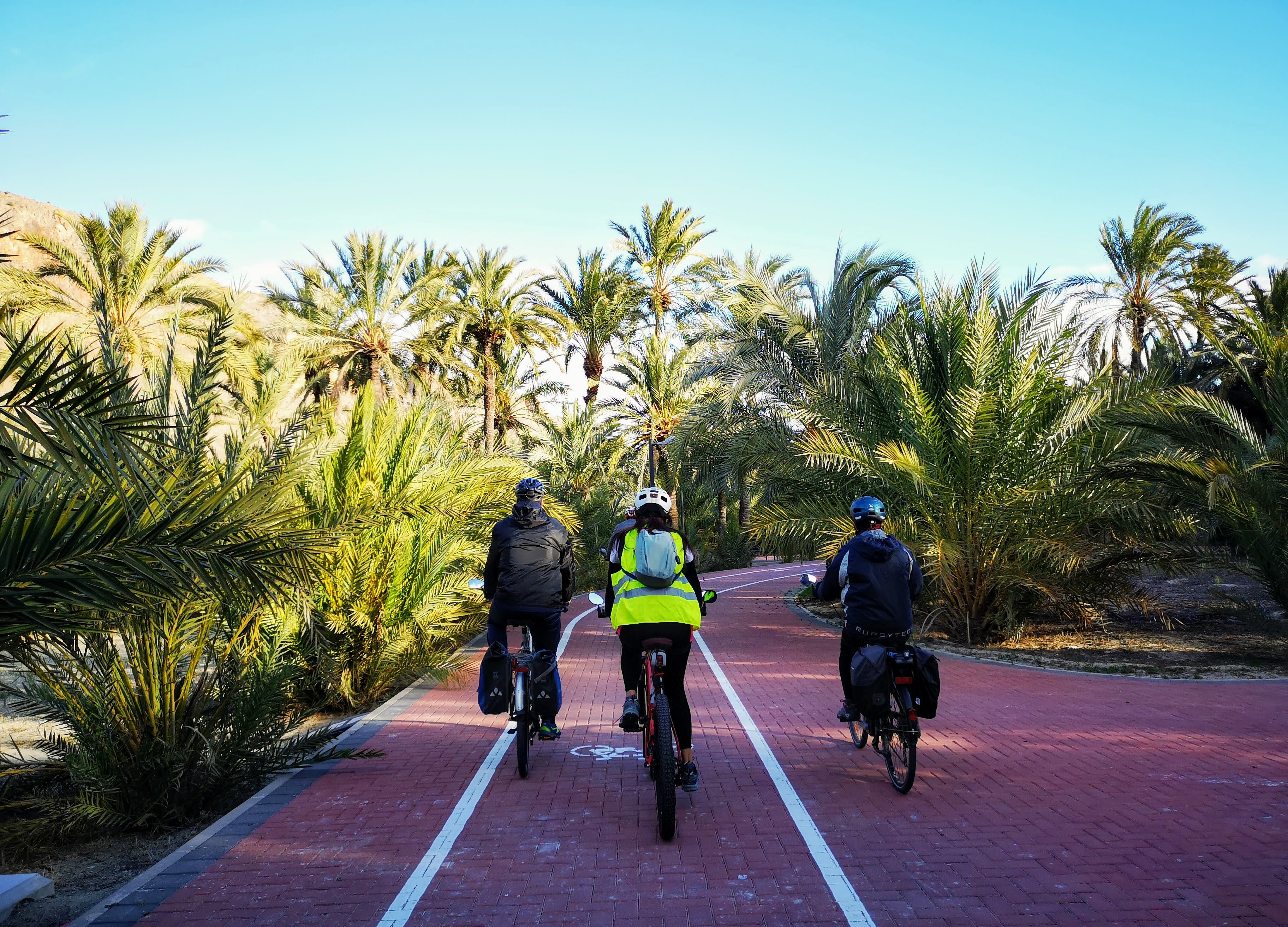 original_9828ea23-21df-4882-836a-0d6466cc43d4_IMG_20201228_101238