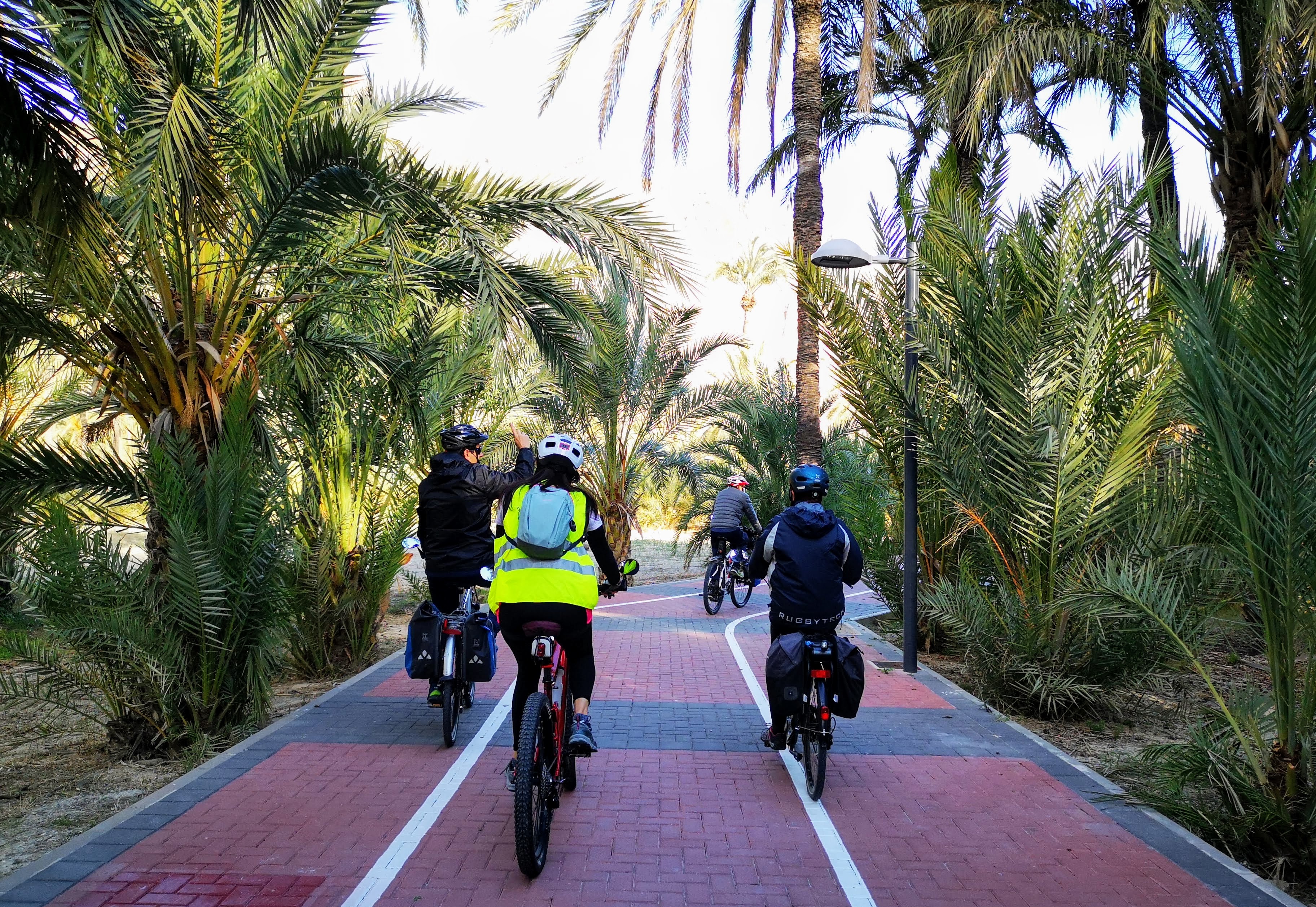 original_a6d764e8-1167-4ed6-b414-a043102211f9_IMG_20201228_101225