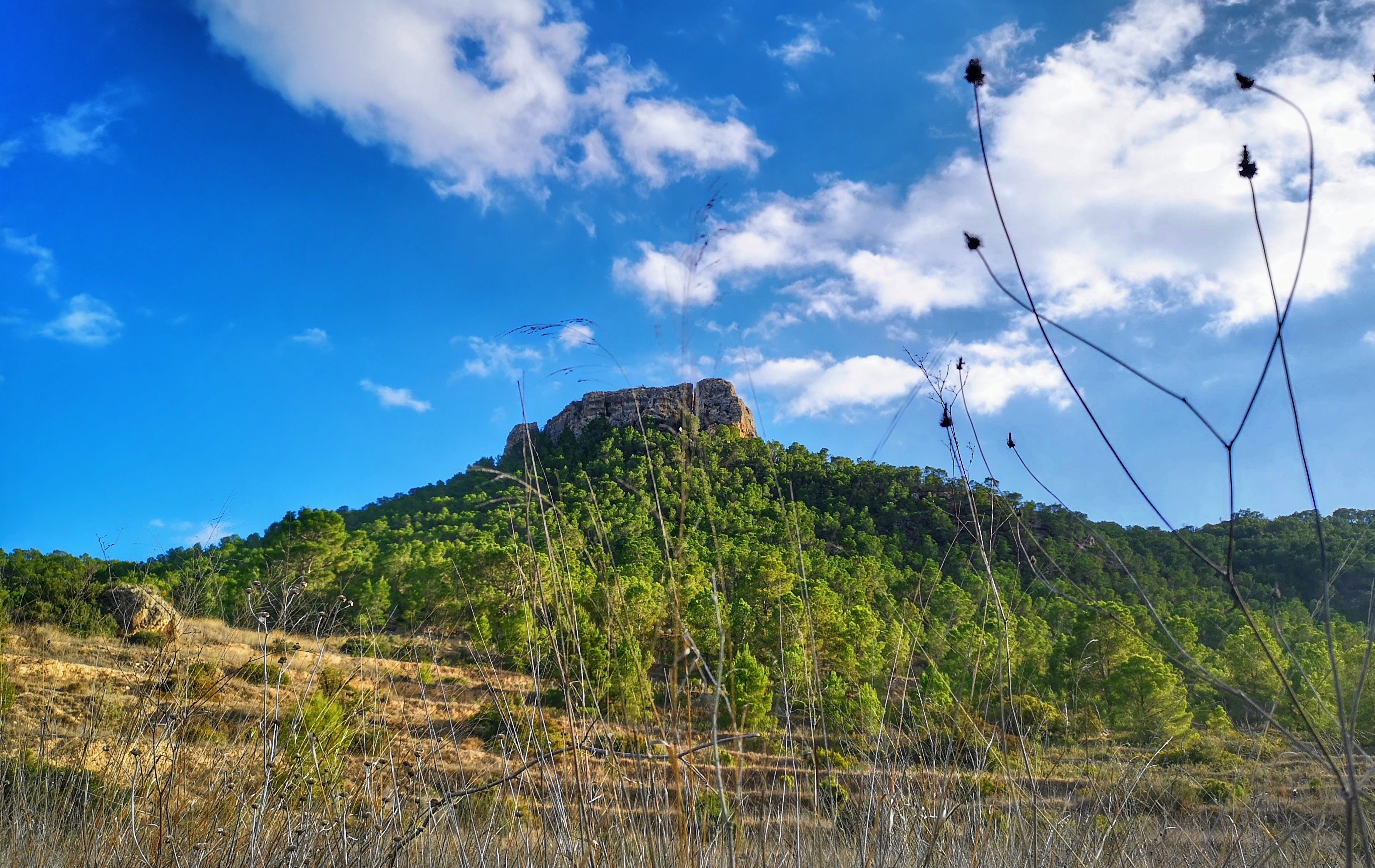 IMG_20210118_154337-01~3