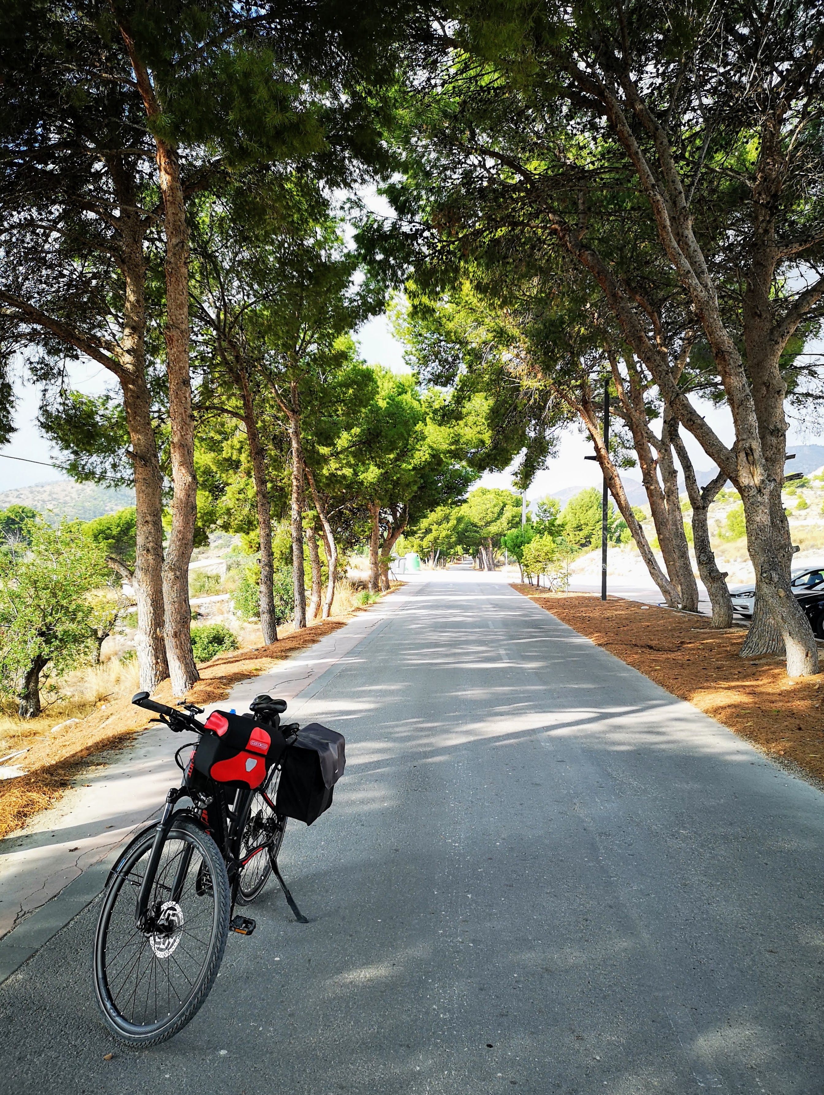 original_490a4f86-4ca3-4dd1-8df2-47976ca0b595_IMG_20201118_111410