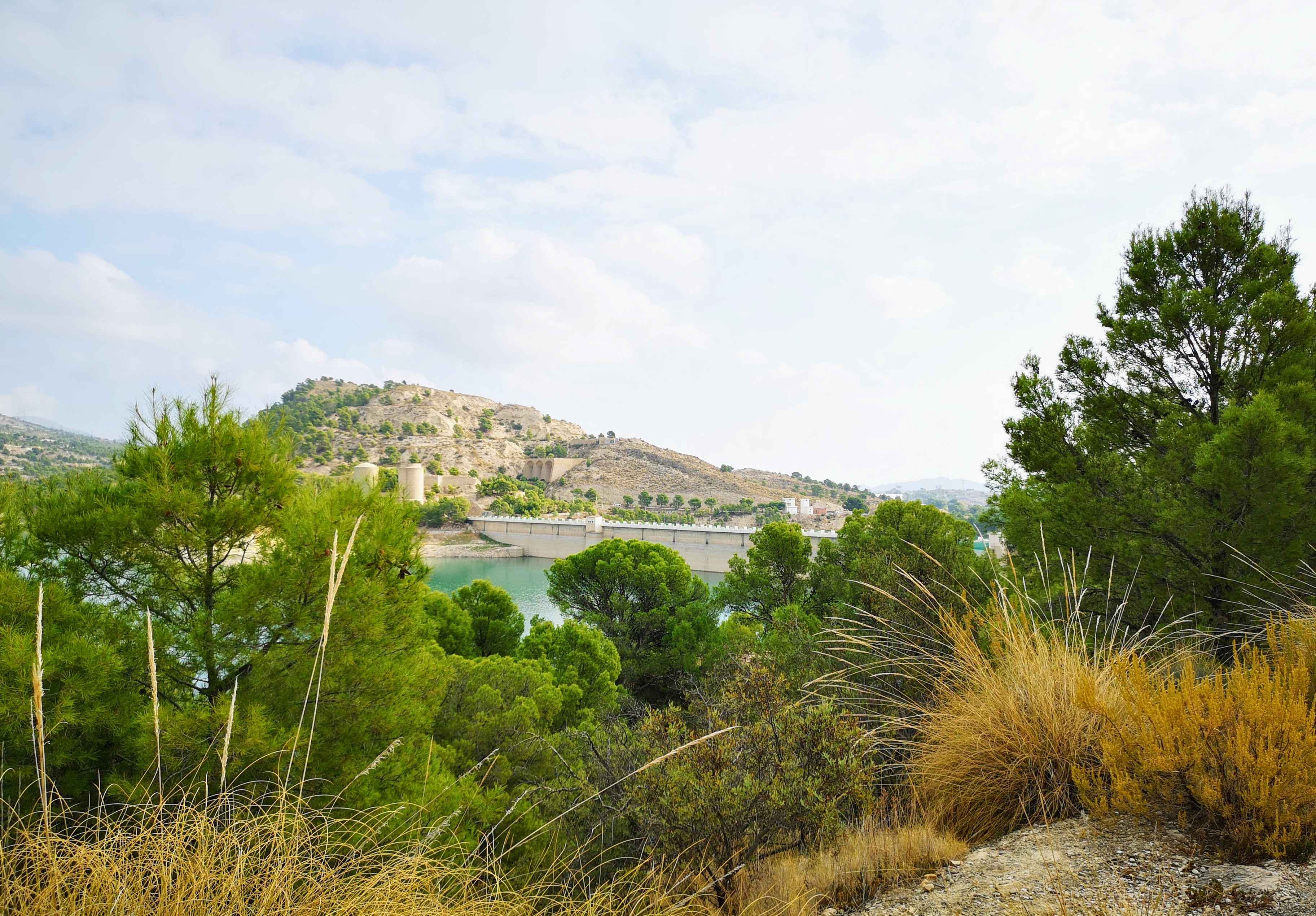 original_c728ff8b-6304-42d9-ad0e-6272a6aa061b_IMG_20201118_110021